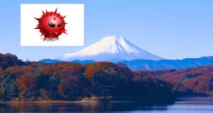 japon malware défensif